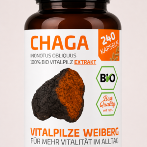 Original Hawlik, Bio Chaga Extrakt, 240 Kapseln