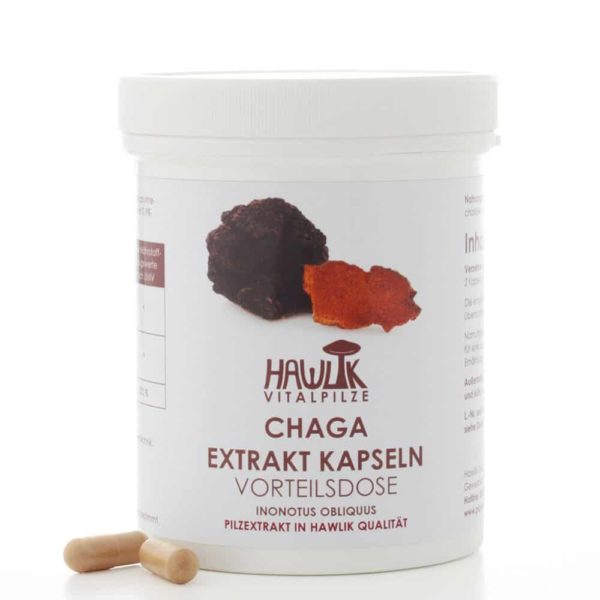 chaga extrakt 240 kapseln vitalpilze