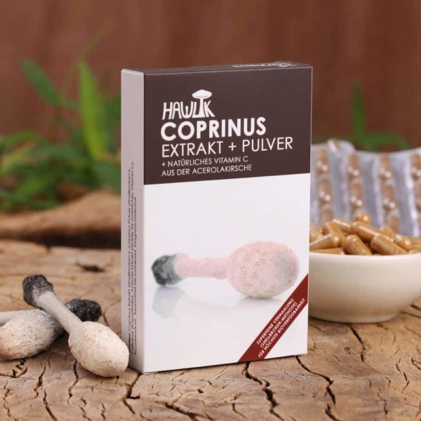 coprinus extrakt plus pulver 60 kapseln vitalpilze hawlik
