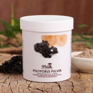 polyporus pulver 100g vitalpilze